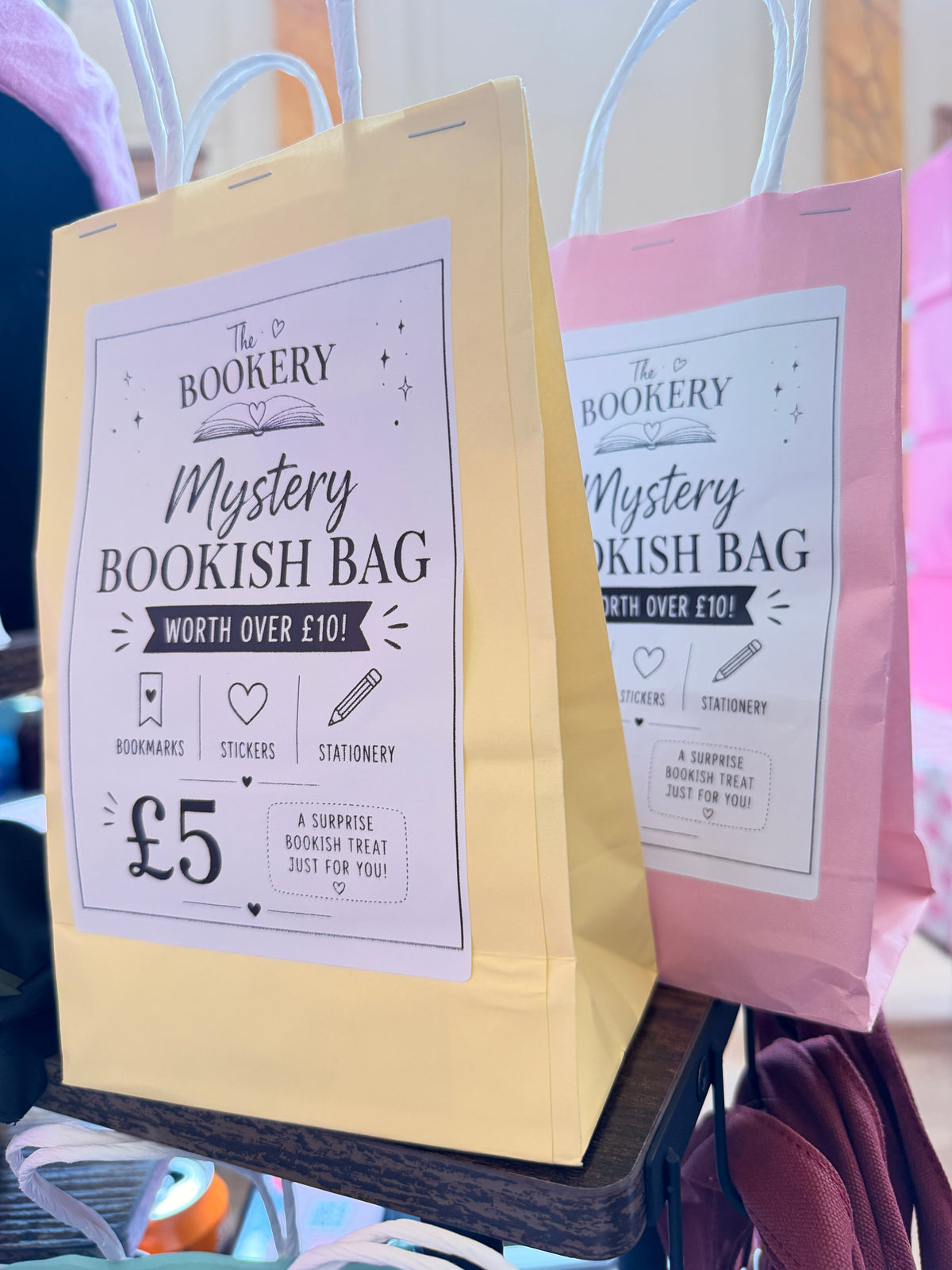 Mystery bookish bag