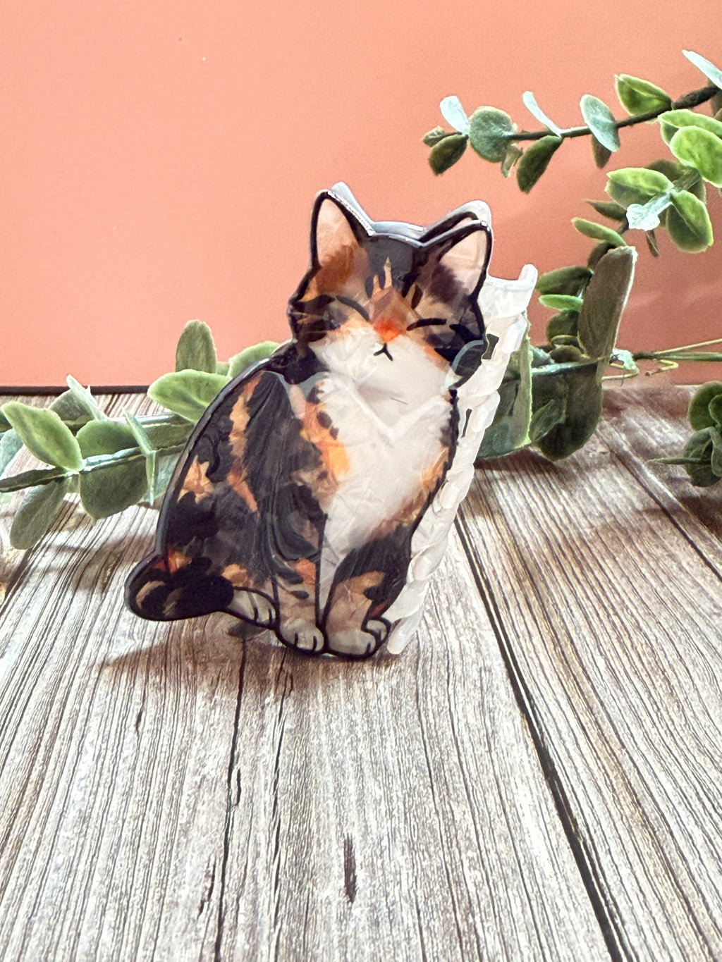 Cat hair clip